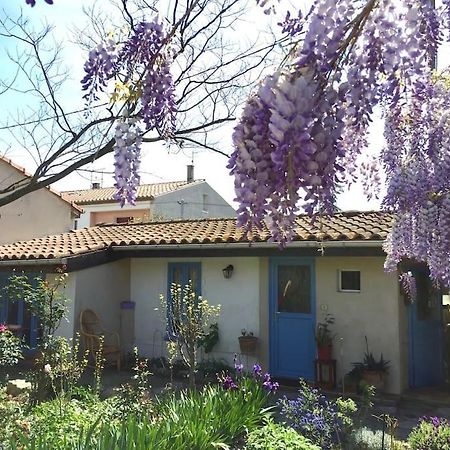 La Campagne Dans La Ville Narbonne Bagian luar foto
