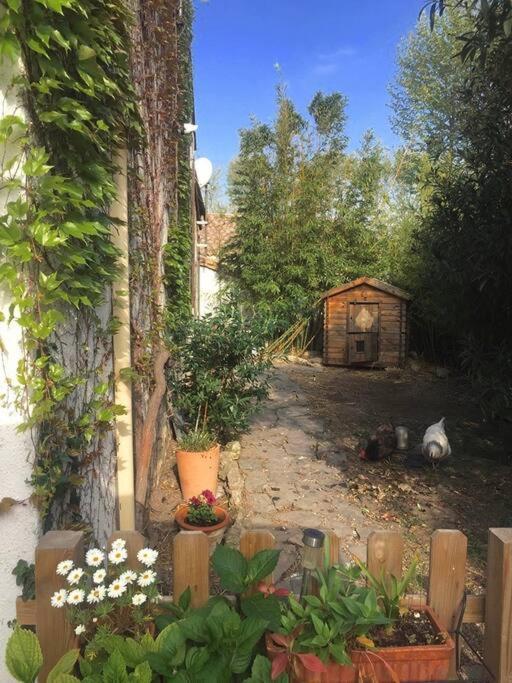 La Campagne Dans La Ville Narbonne Bagian luar foto