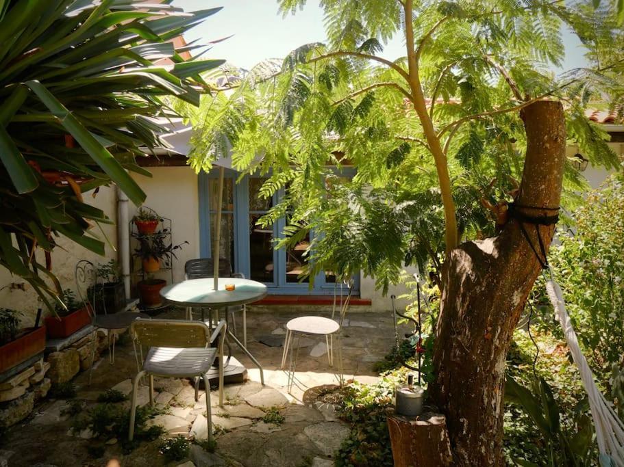 La Campagne Dans La Ville Narbonne Bagian luar foto
