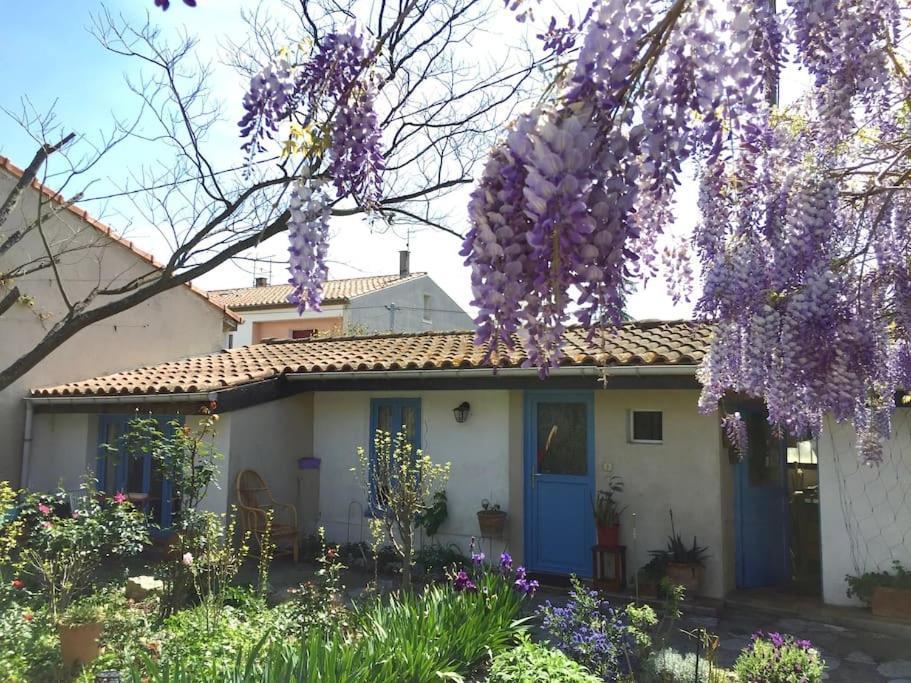 La Campagne Dans La Ville Narbonne Bagian luar foto